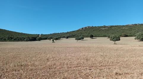 Foto 2 de Terreno en venta en Fernán Caballero, Ciudad Real