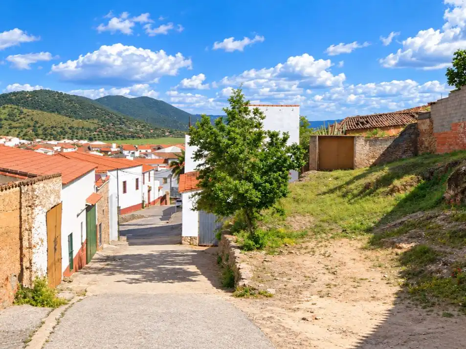 Vista exterior de Casa o chalet en venta en Nogales con Terraza