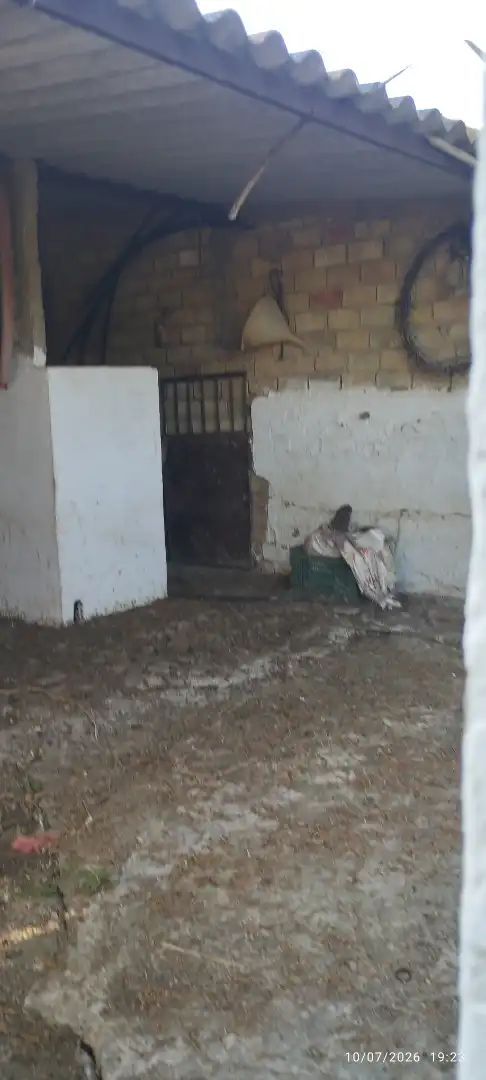 Terreny rústic en venda a Lugar Diseminado 81, imagen 36