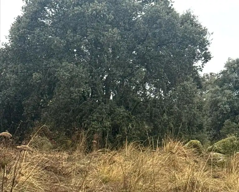 Terreno residenziale in vendita a Coimbra, imagen 9