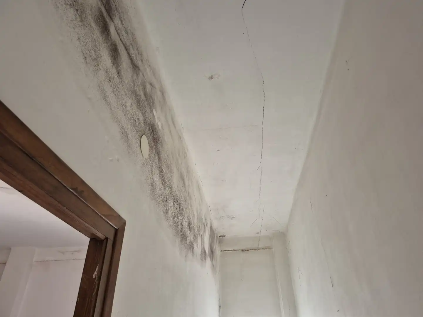 Nave industrielle à vendre à Marines - CARRETERA BASE MILITAR, imagen 19