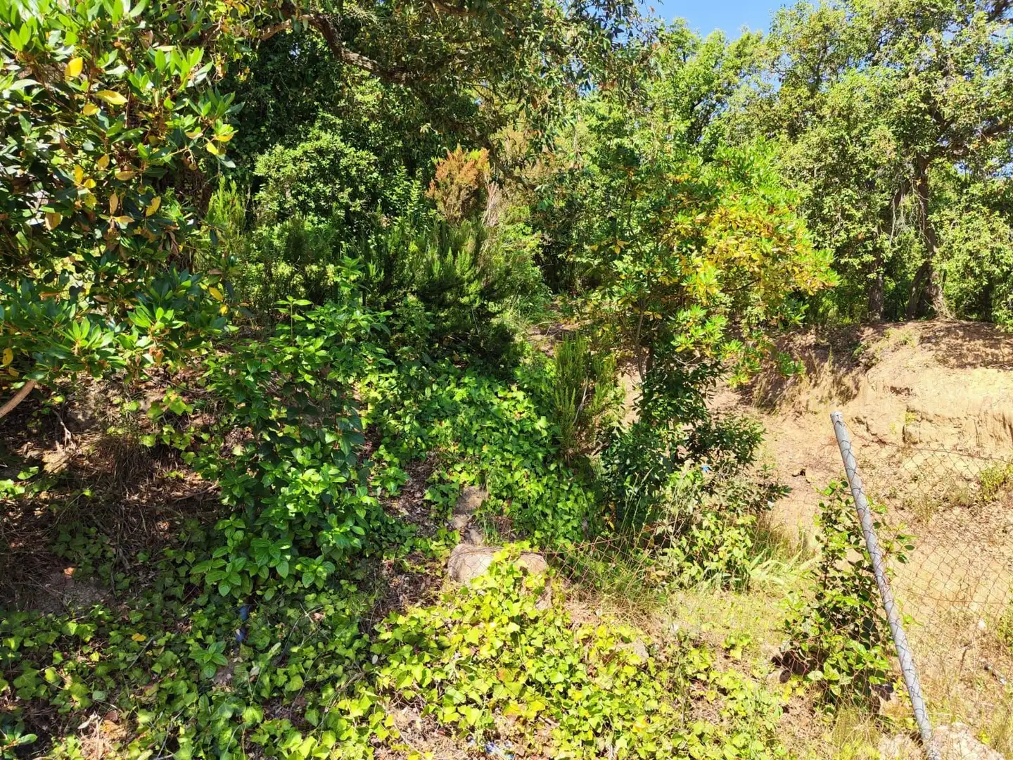 Lands and plots for sale in Llagostera, imagen 6