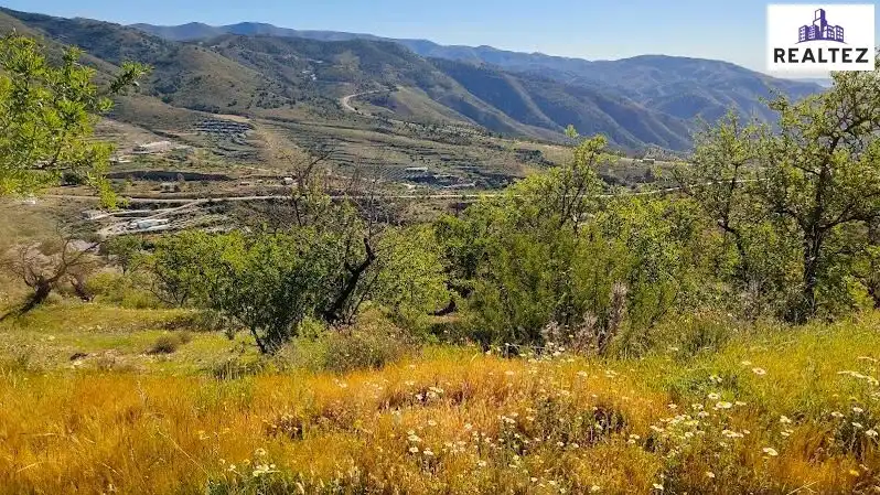 Rural land for sale in Felix, imagen 21
