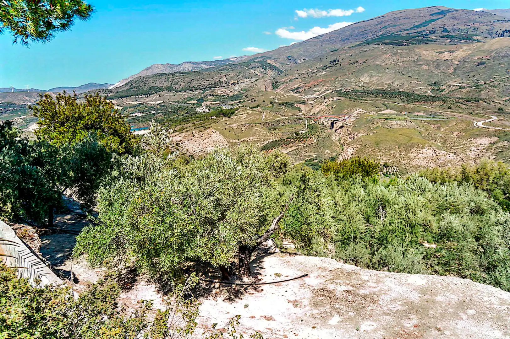 Terrain rustique à vendre à El Pinar, imagen 12