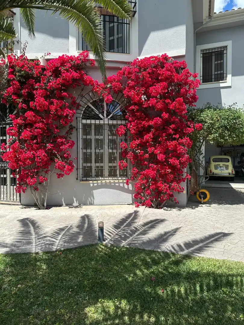 Houses for sale in Poniente-Norte - Miralbaida - Parque Azahara