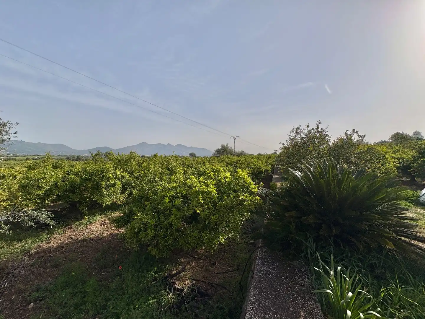 Casa rustica con giardino in vendita a Camí dels Plans 90, imagen 17