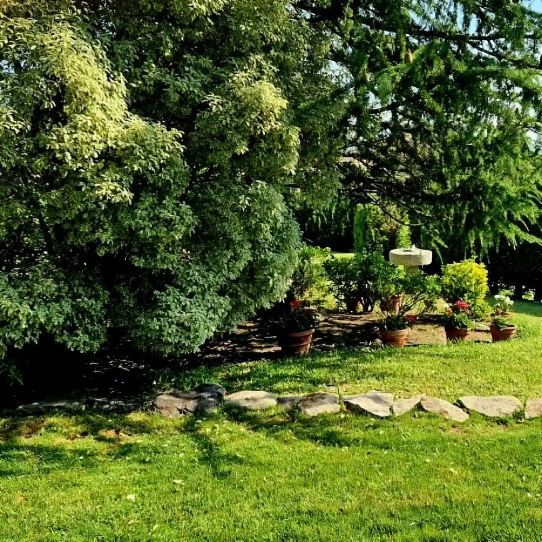 Jardí de Casa o xalet en venda en Gondomar amb Calefacció, Parquet i Terrassa