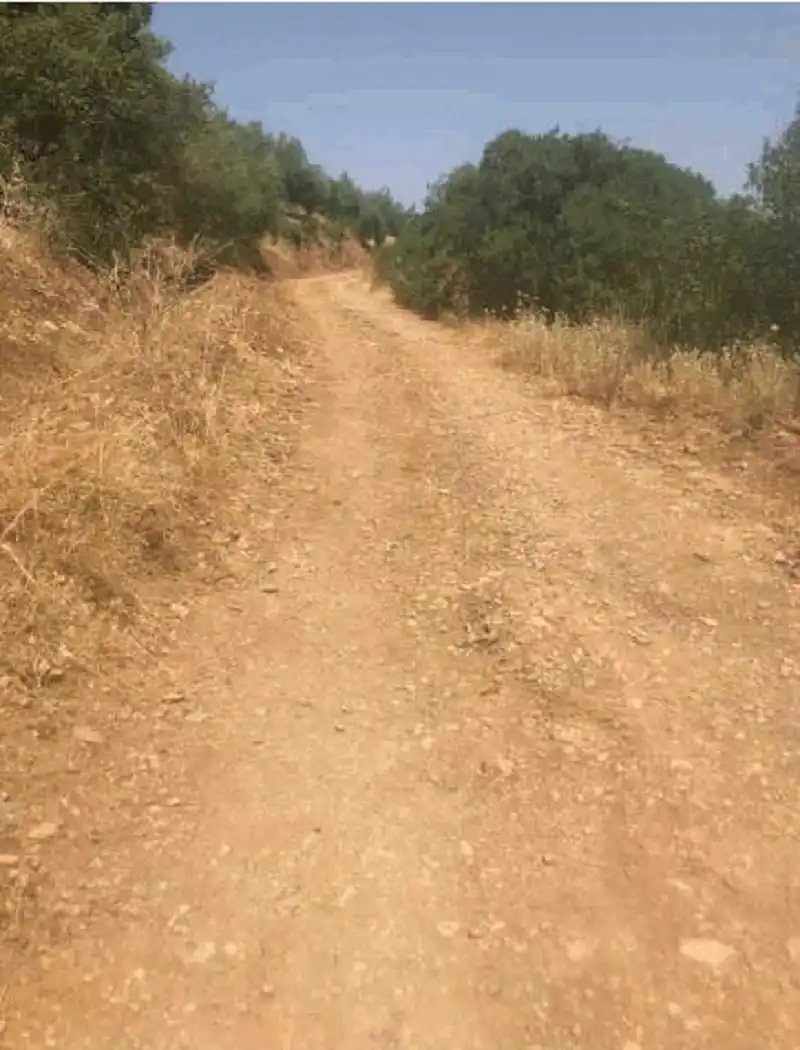 Terrenys i solars en venda a Fuensanta de Martos, imagen 3
