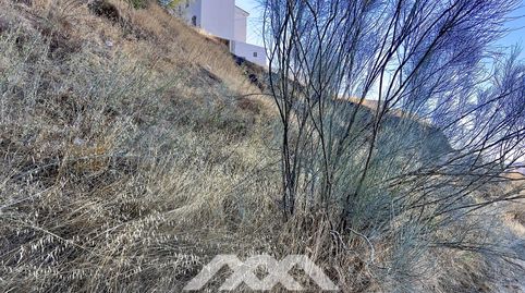 Foto 5 de Residencial en venta en Poligono 8 Paraje 72 Casas Nu, Canillas de Aceituno, Málaga
