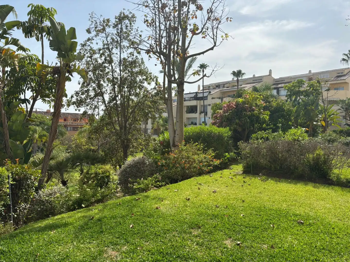 Jardín de Apartamento de alquiler en Marbella con Aire acondicionado, Terraza y Piscina comunitaria
