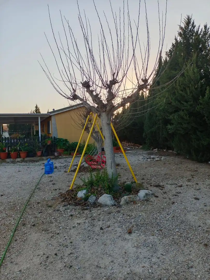 Jardín de Casa o chalet en venta en Molina de Segura con Aire acondicionado, Calefacción y Jardín privado
