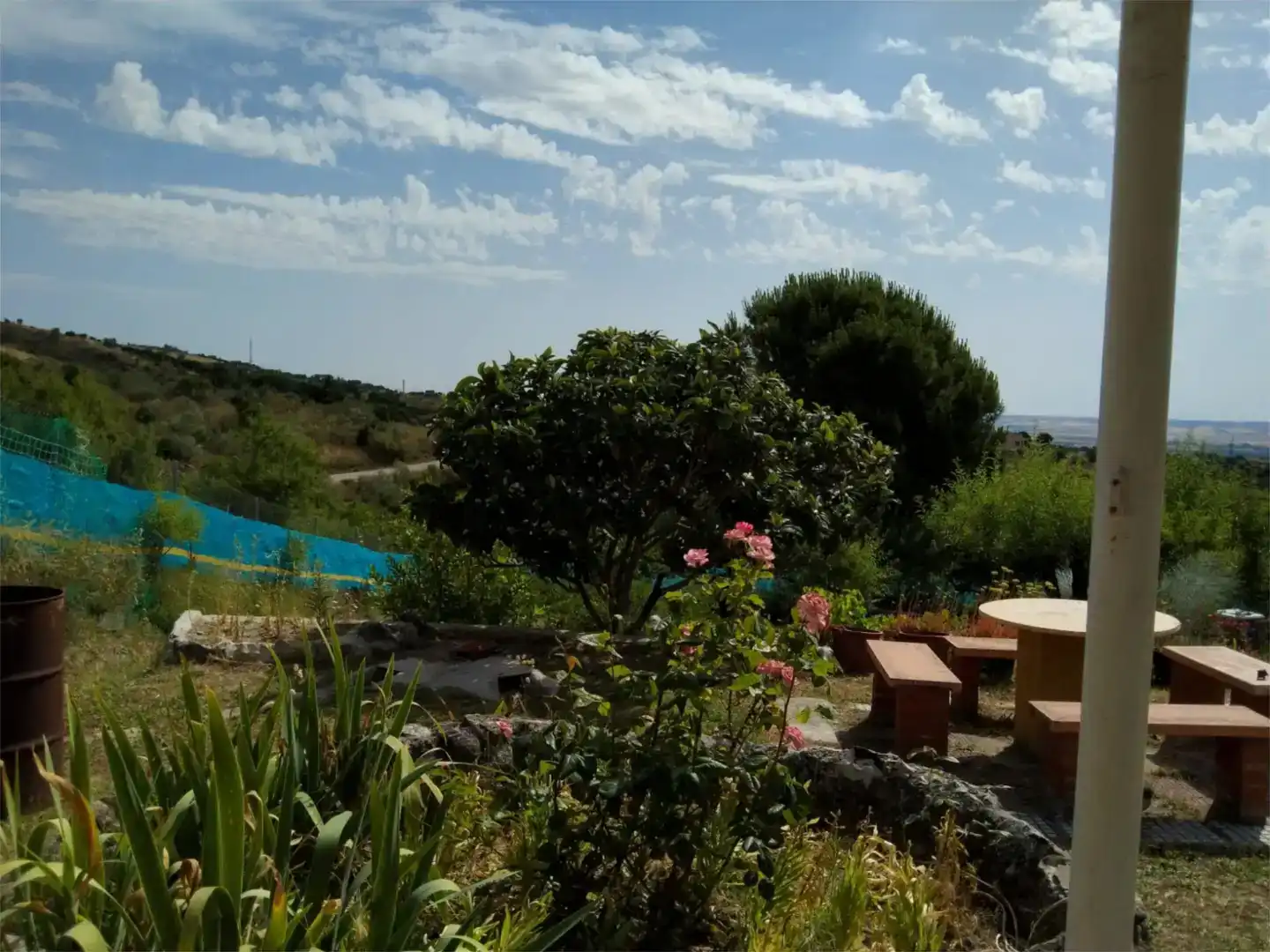 Jardí de Finca rústica en venda en El Molar (Madrid)
