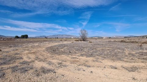 Foto 3 de Residencial en venta en Partidas Norte, Villena