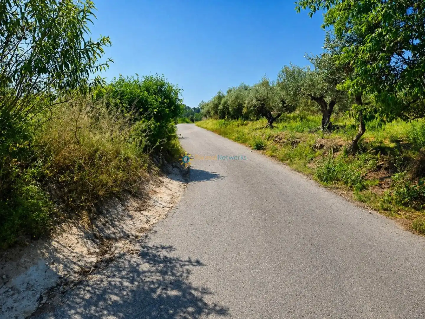 Terreno en venta en Bellús