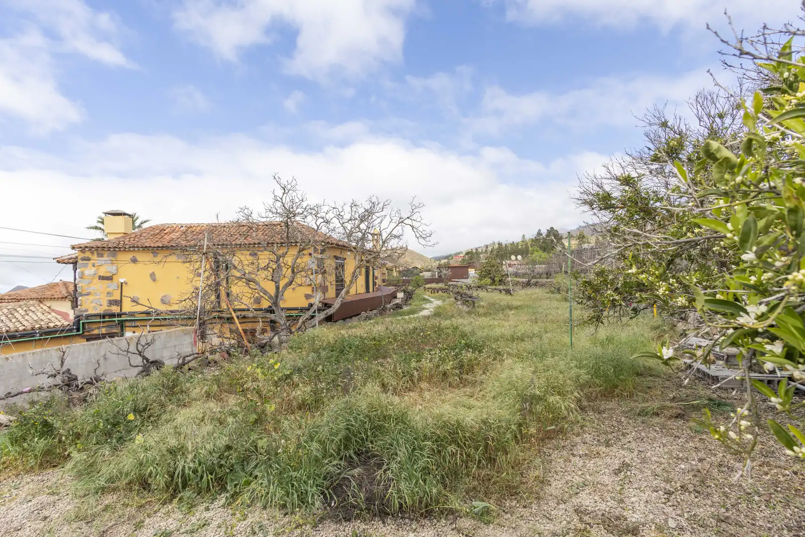 Casa o xalet en venda en Vilaflor de Chasna amb Jardí privat