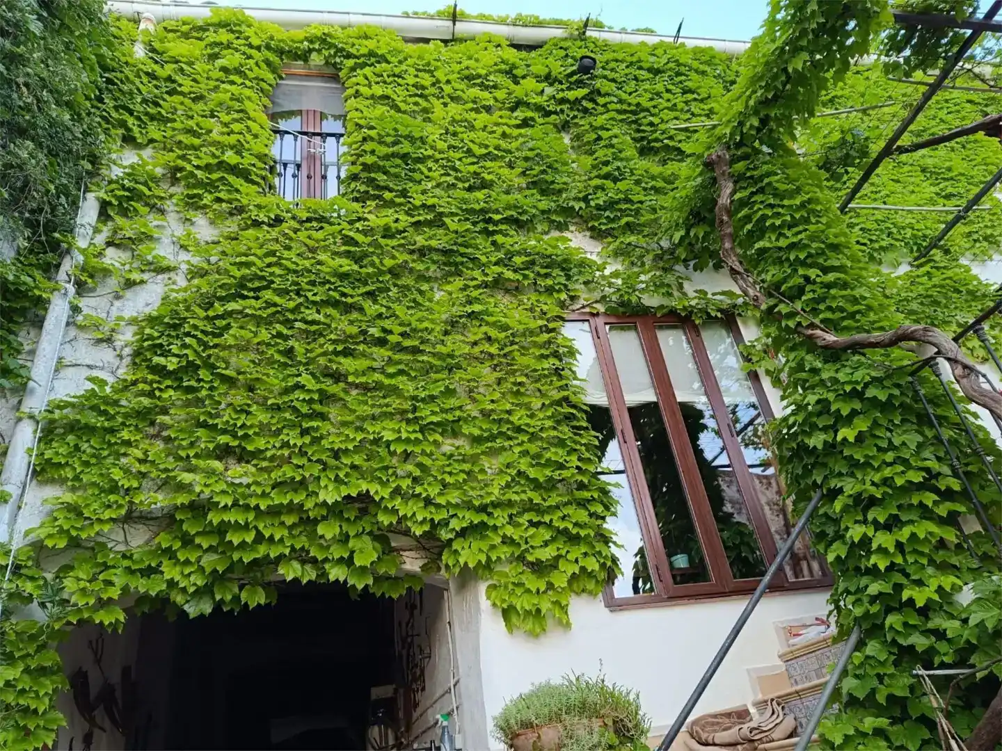 Vista exterior de Casa adosada en venda en Cortegana amb Jardí privat, Traster i Piscina