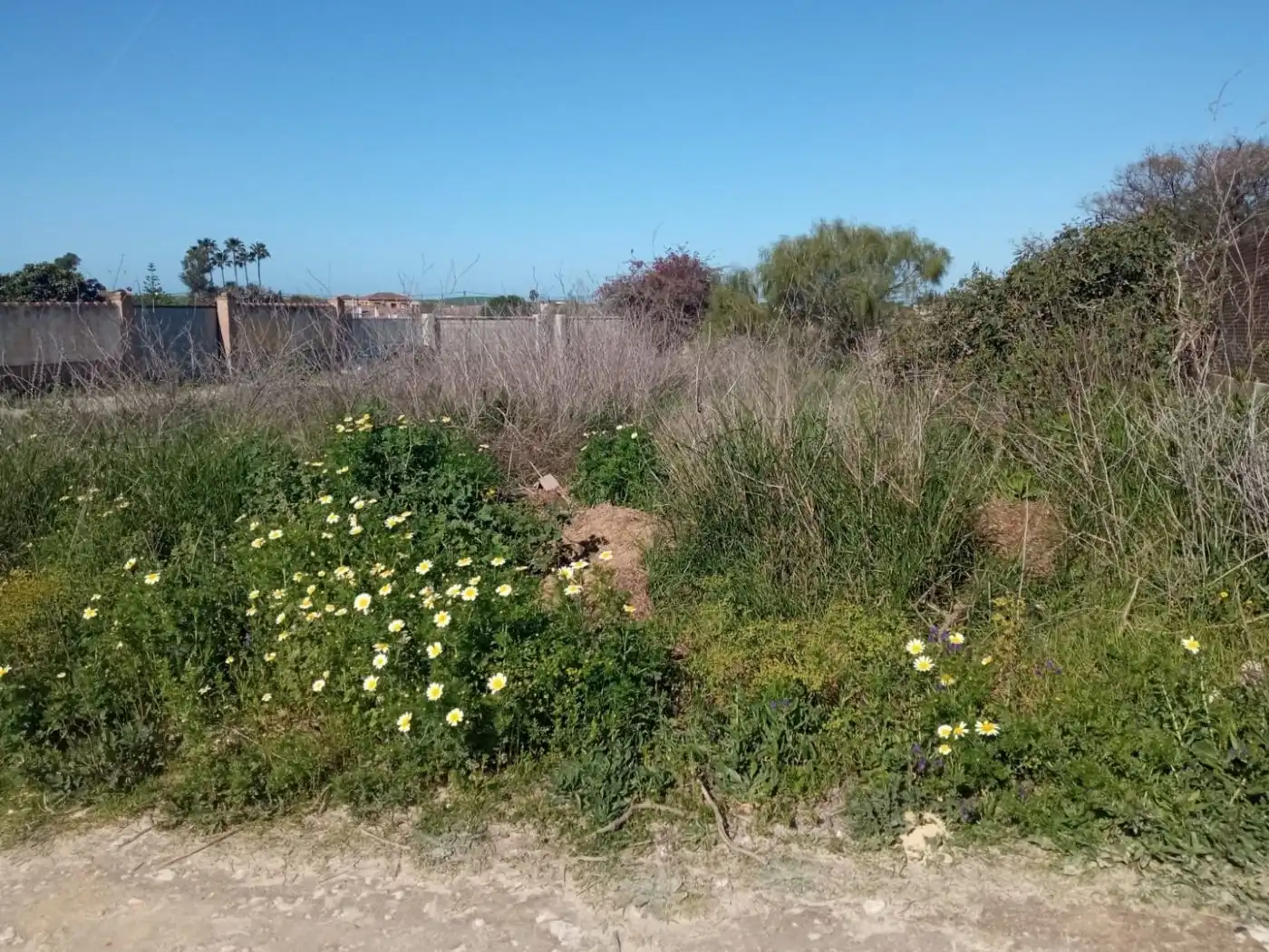Residencial en venda a Casco Histórico - Ribera del Marisco