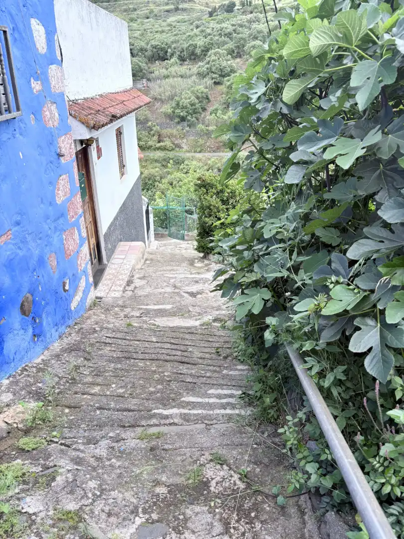 Vista exterior de Casa adosada en venda en Santa Brígida amb Jardí privat, Traster i Moblat