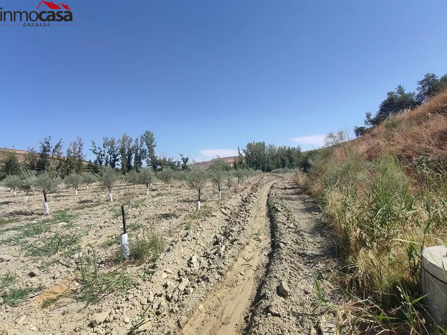 Rural land for sale in Santa Cruz del Comercio, imagen 5