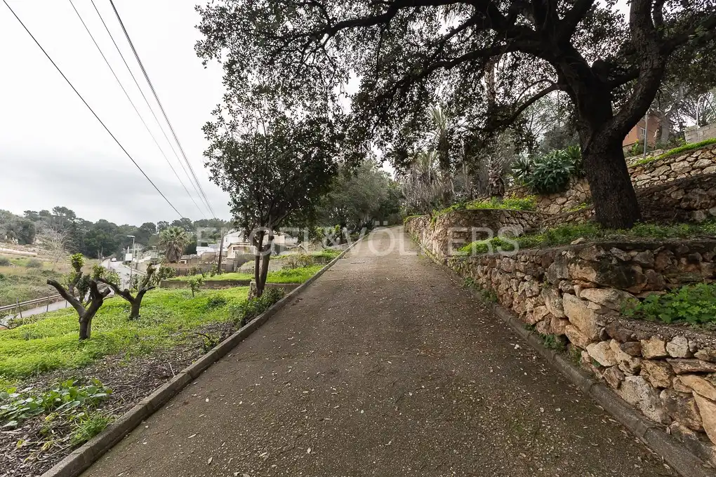 Terrenos y solares en venta en Urbanitzacions i Pedanies Nord, imagen 3