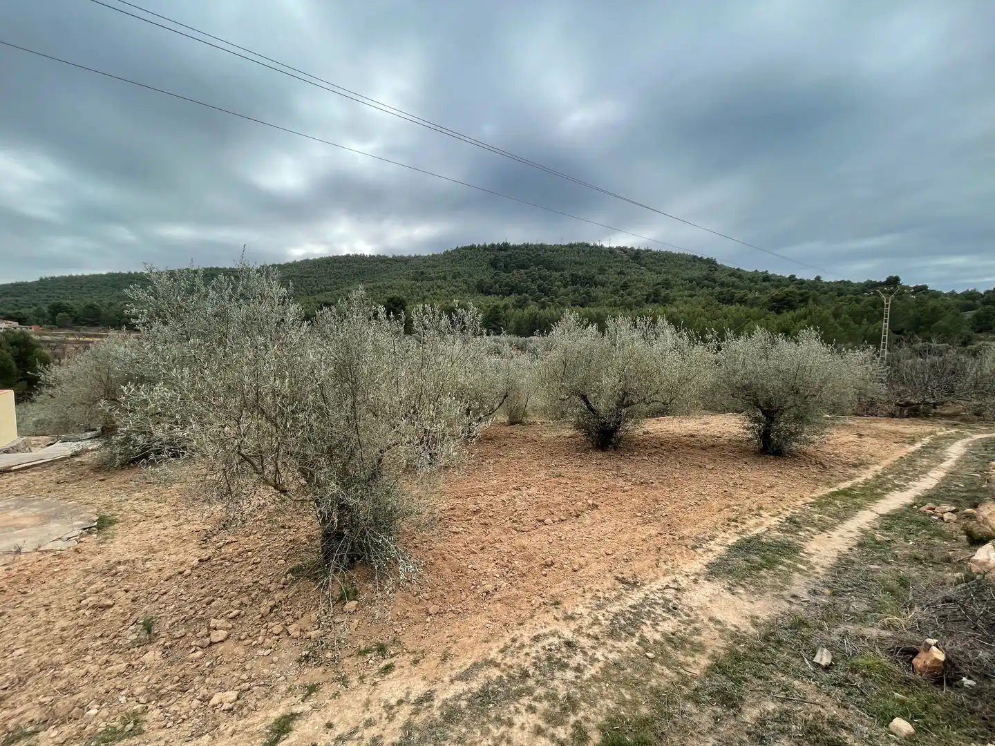 Rustikales Grundstück zum Verkauf in L'Alcora, imagen 15