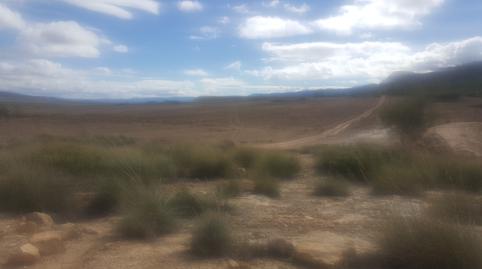 Photo 3 of Land for sale in San Antón, Murcia Capital