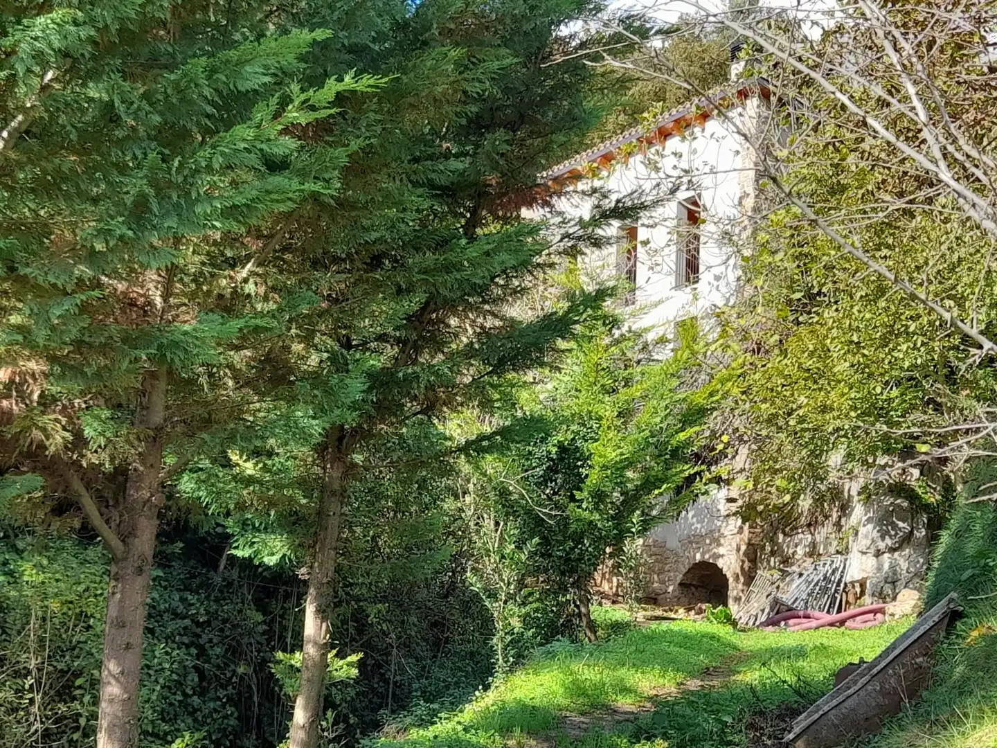 Terreny rústic en venda a Berga, imagen 9