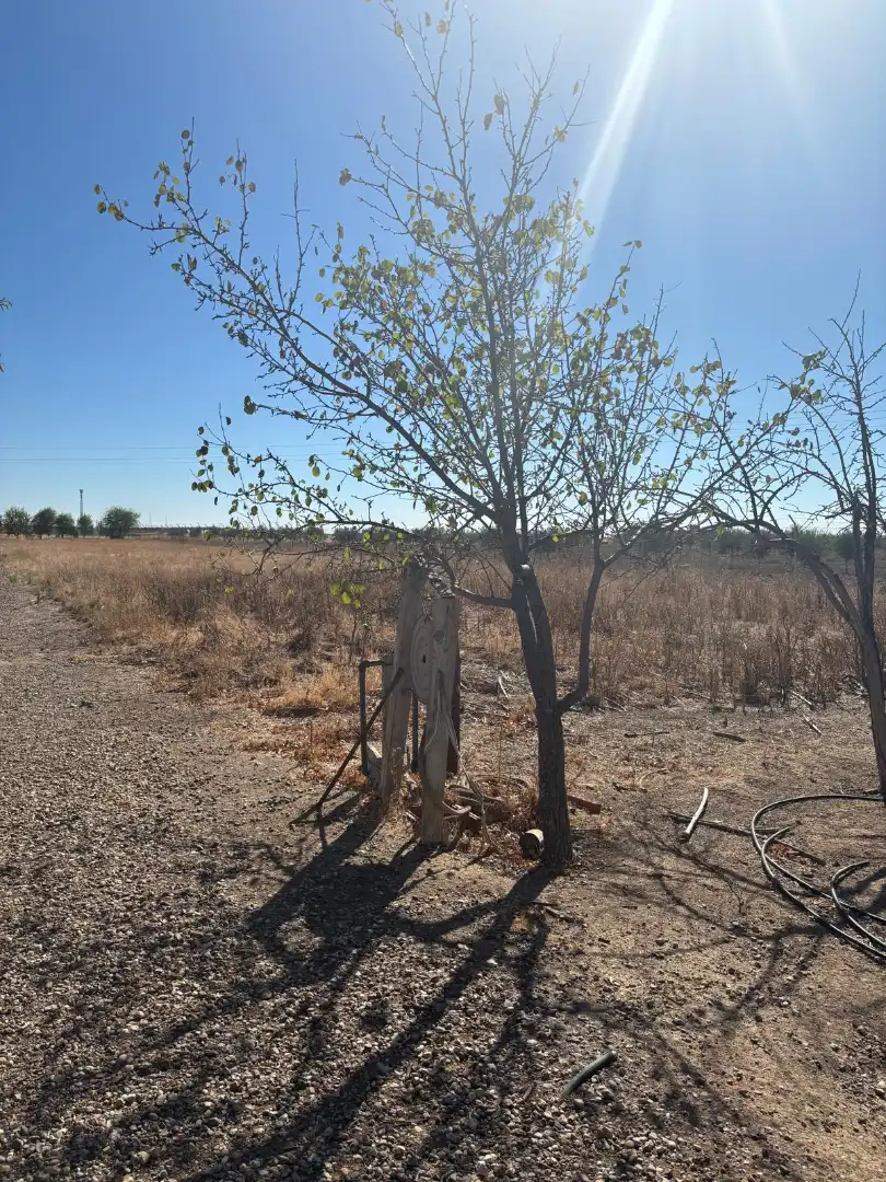 Grundstücke zum Verkauf in Aranjuez