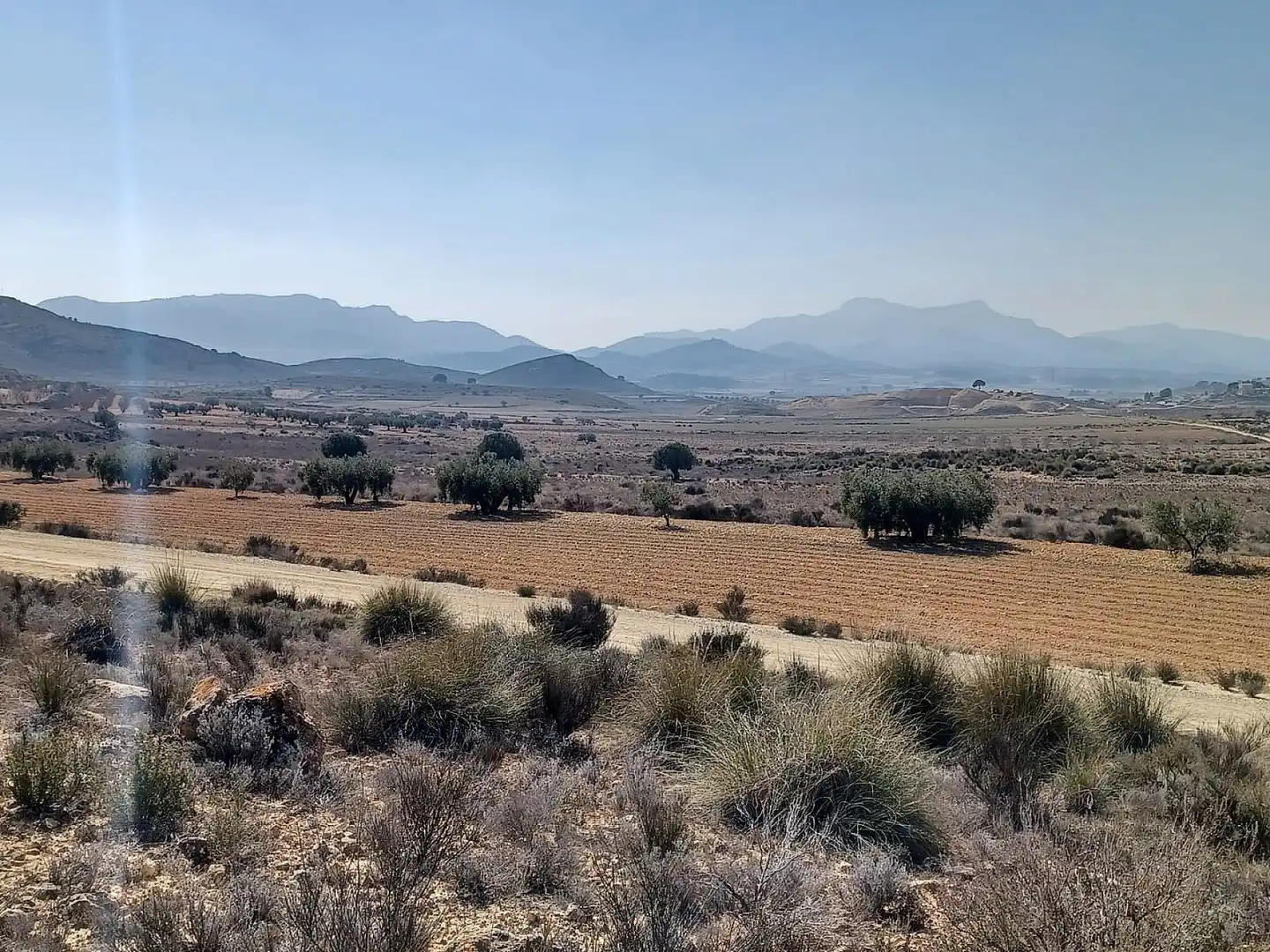 Terreno residencial en venta en El Pinós / Pinoso, imagen 3