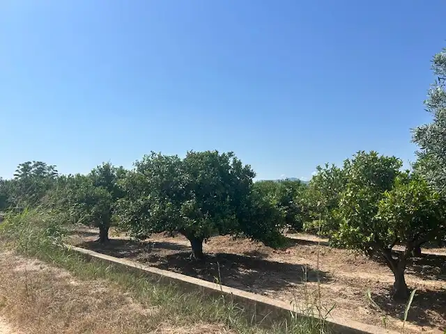 Rural land for sale in Carrer del Pou, imagen 10