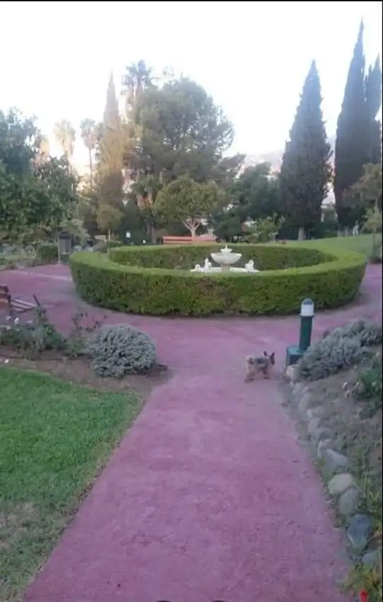 Vista exterior de Apartamento en venta en Marbella con Aire acondicionado, Calefacción y Amueblado