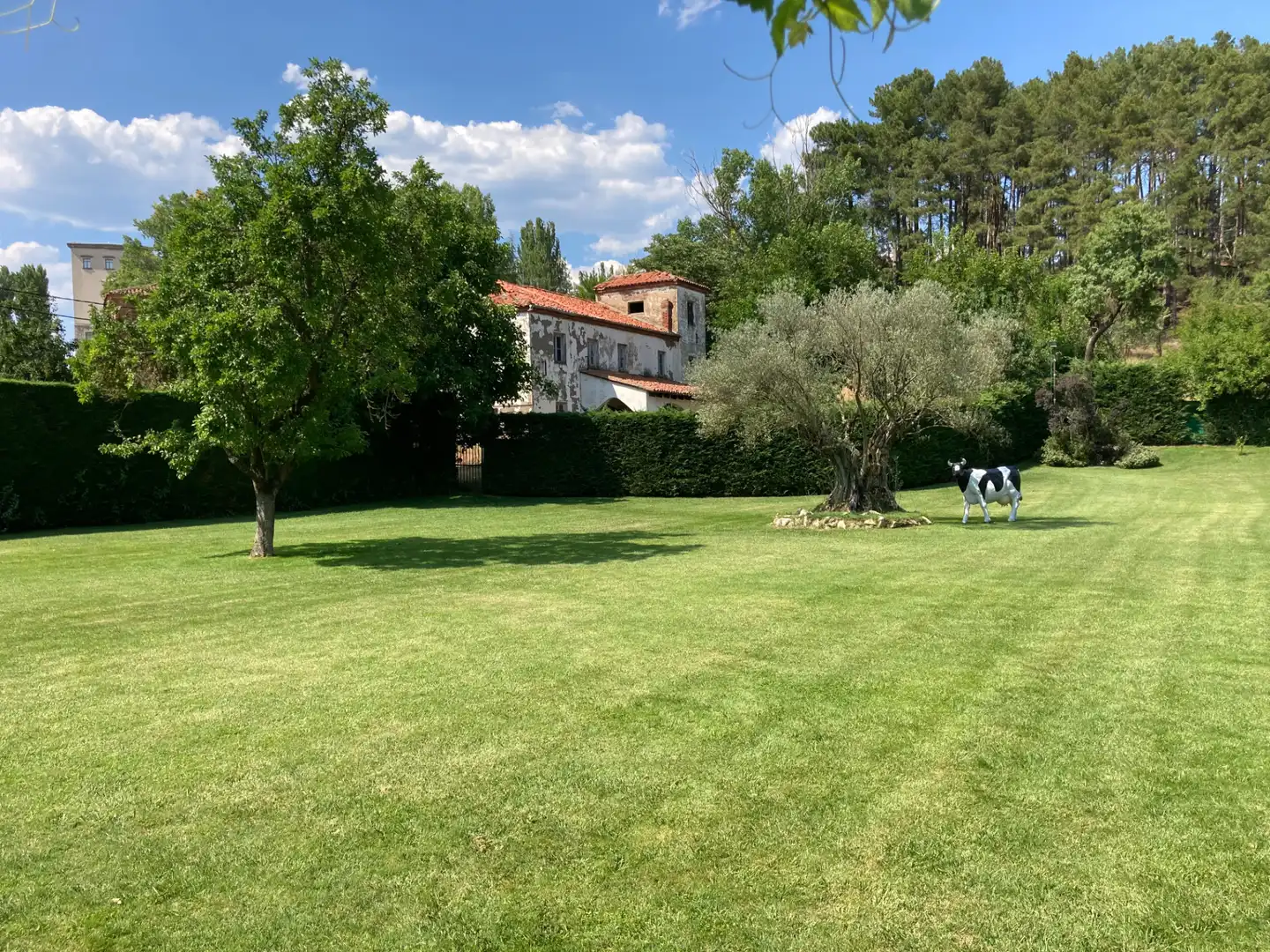 Jardín de Casa o chalet en venta en León Capital  con Calefacción, Jardín privado y Horno
