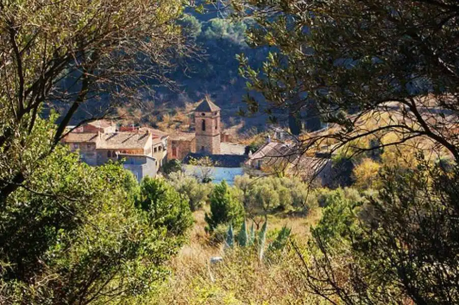 Terreni e lotti in vendita a Riudecols, imagen 8
