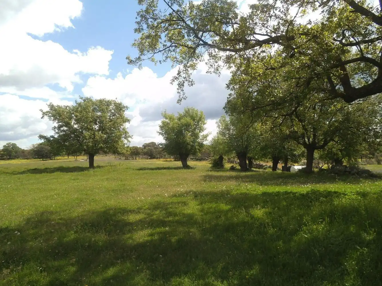 Residencial en venda en Valdemorillo