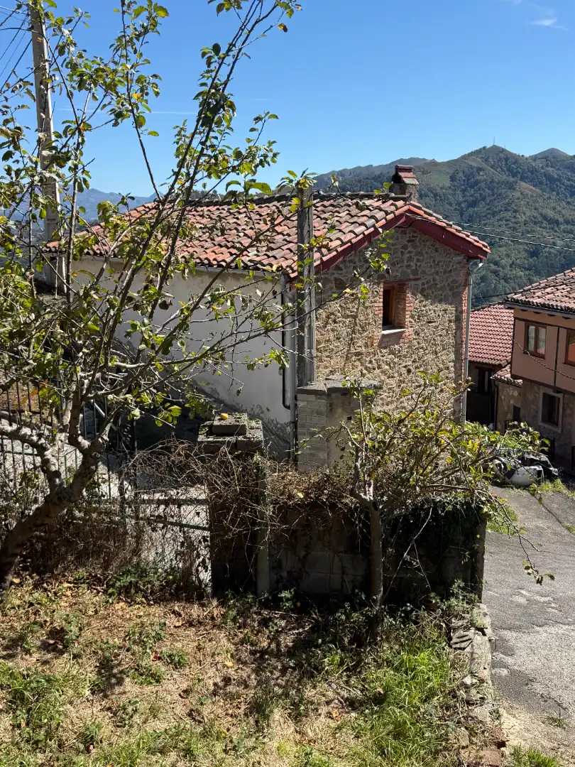 Maison avec jardin à vendre à Lugar el Carbayu, imagen 39