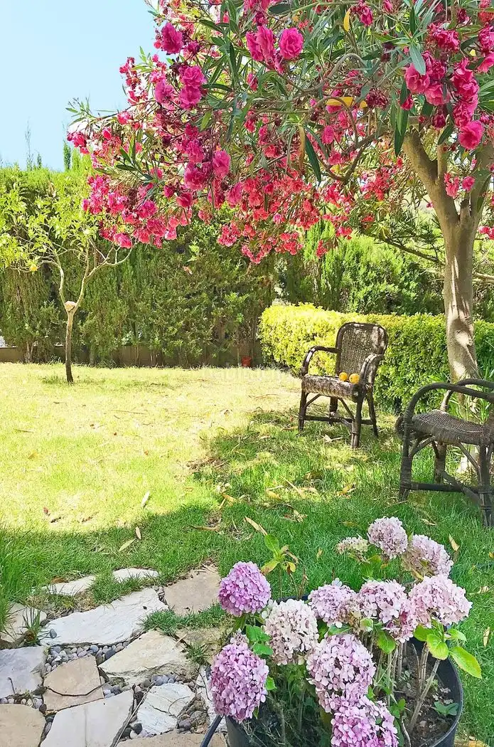 House with garden for sale in Carrer Leipzig 6, imagen 7