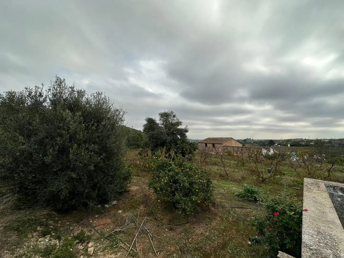Houses for sale in Tous
