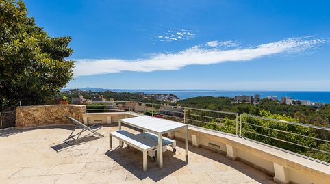 Photo 3 of Houses for sale in Ca L'apotecari, Génova, Palma de Mallorca