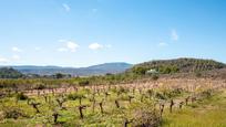 Casa o xalet en venda en Turís amb Jardí privat, Traster i Piscina