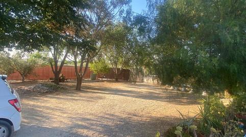 Photo 4 of House or chalet for sale in La Puebla de Cazalla, Sevilla