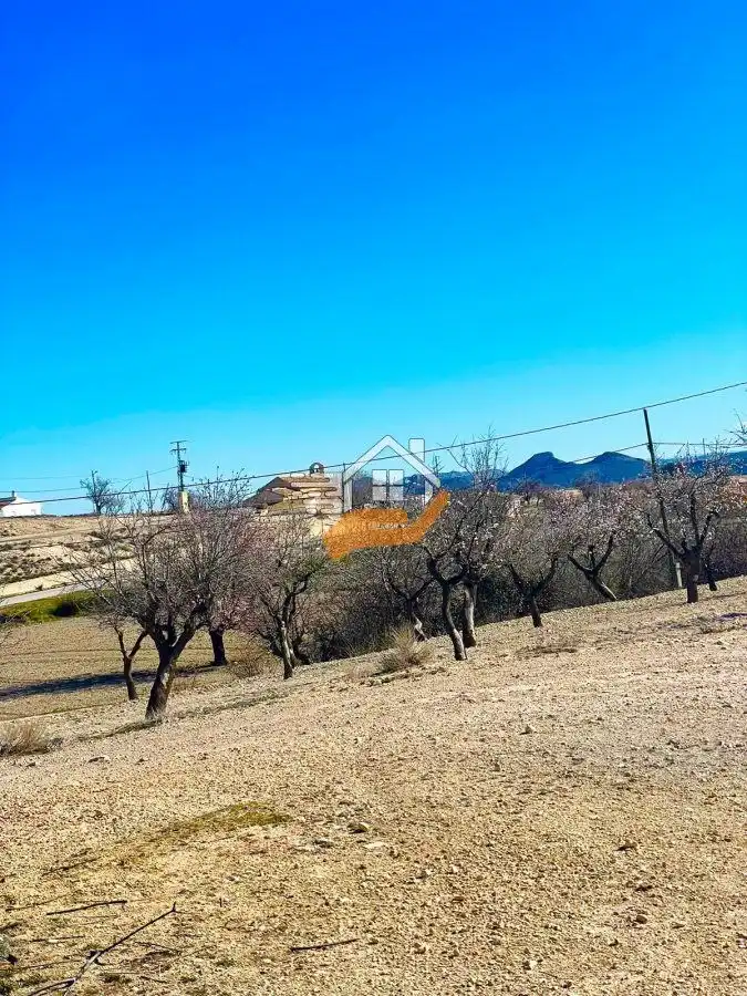 Casa rústica en venta en Vélez-Rubio, imagen 5