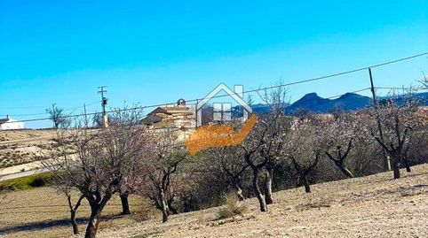 Casa Rural en venta en VélezRubio, 5 dormitorios., immagine 5