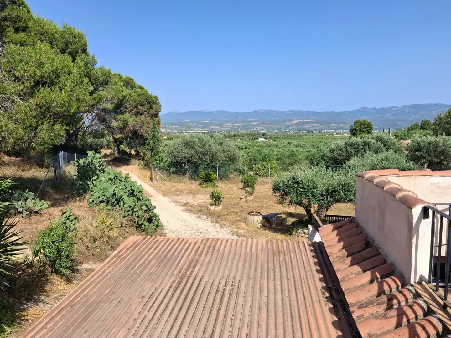 Finca rústica en venda en Móra d'Ebre