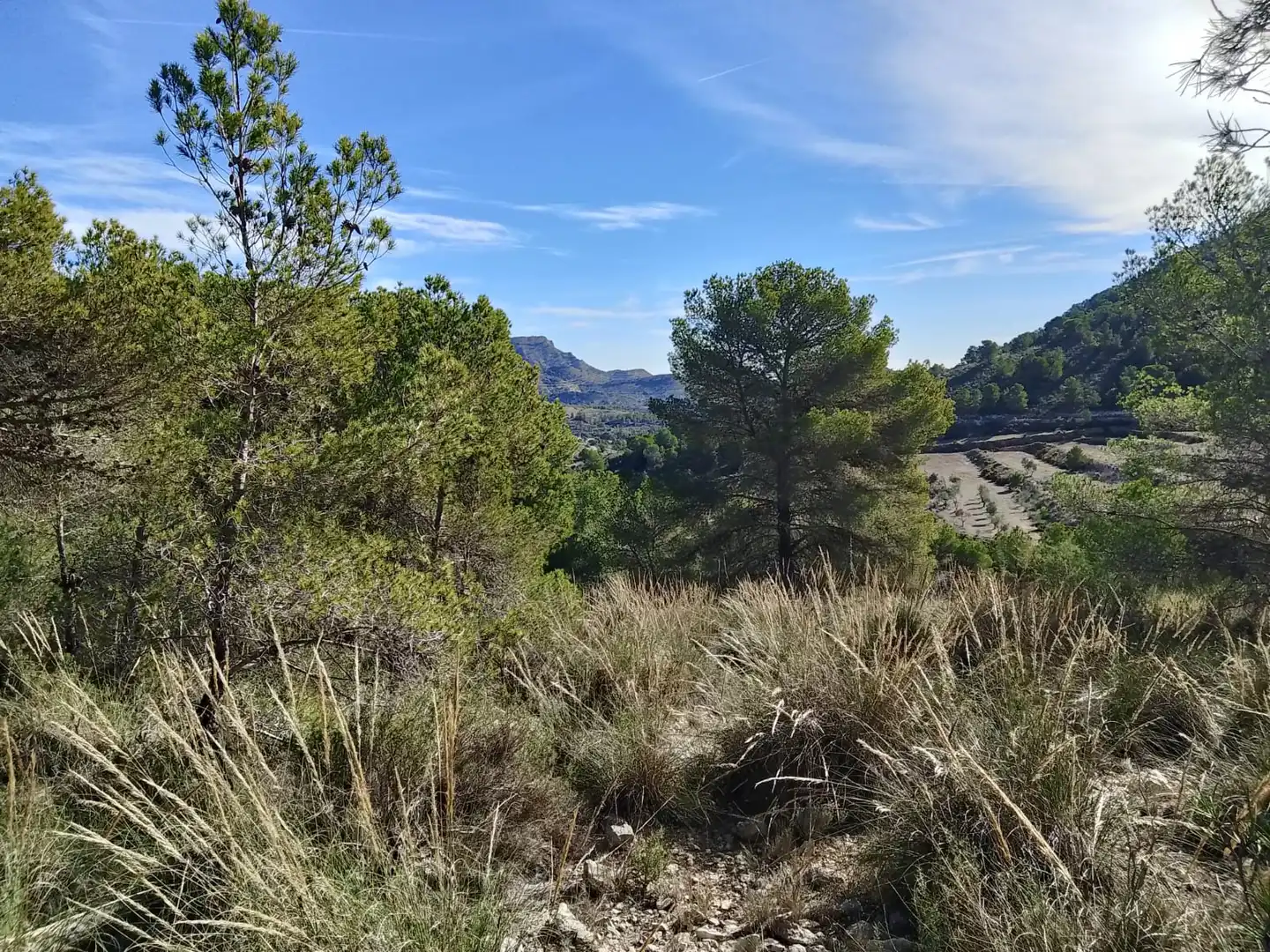 Terreno rustico in vendita a Carrer la Creu, imagen 8