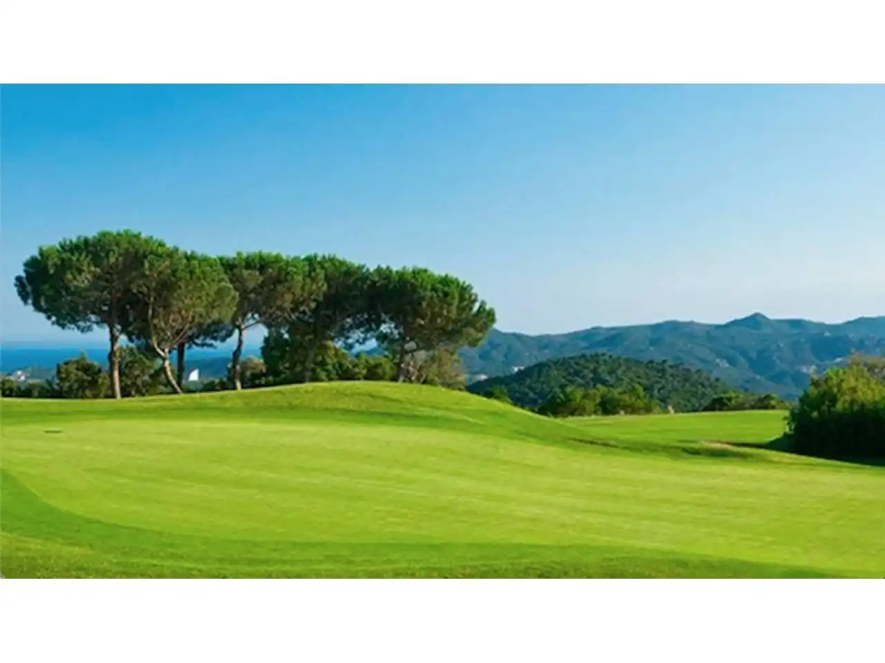 Rural land for sale in Calle Papallone, imagen 2