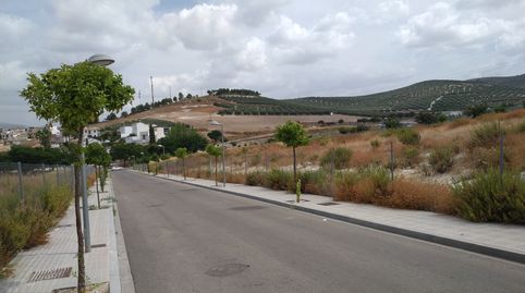 Parcela Urbana