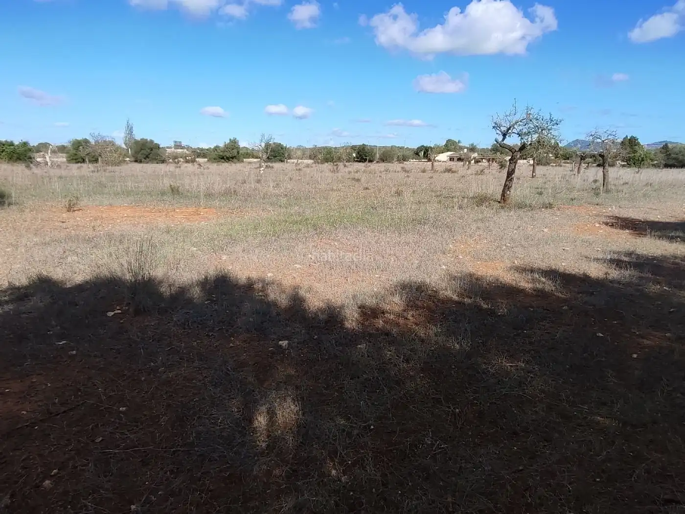 Wohnbaugrundstück zum Verkauf in Camí de son Antelm 89