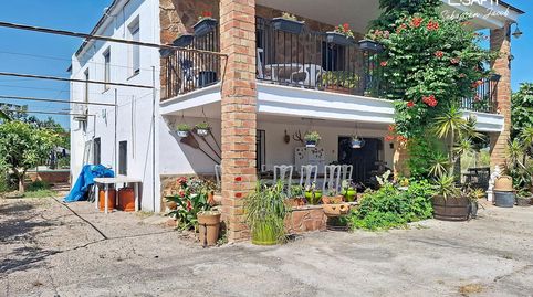 Foto 5 de Finca rústica en venta en Oliva Playa, Oliva