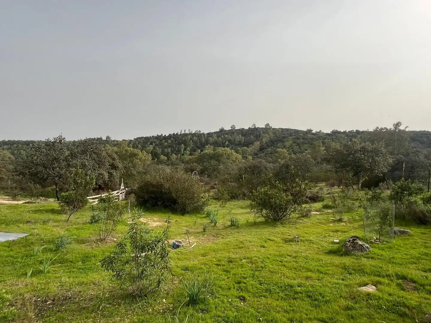 Finca rústica en venda a El Ronquillo
