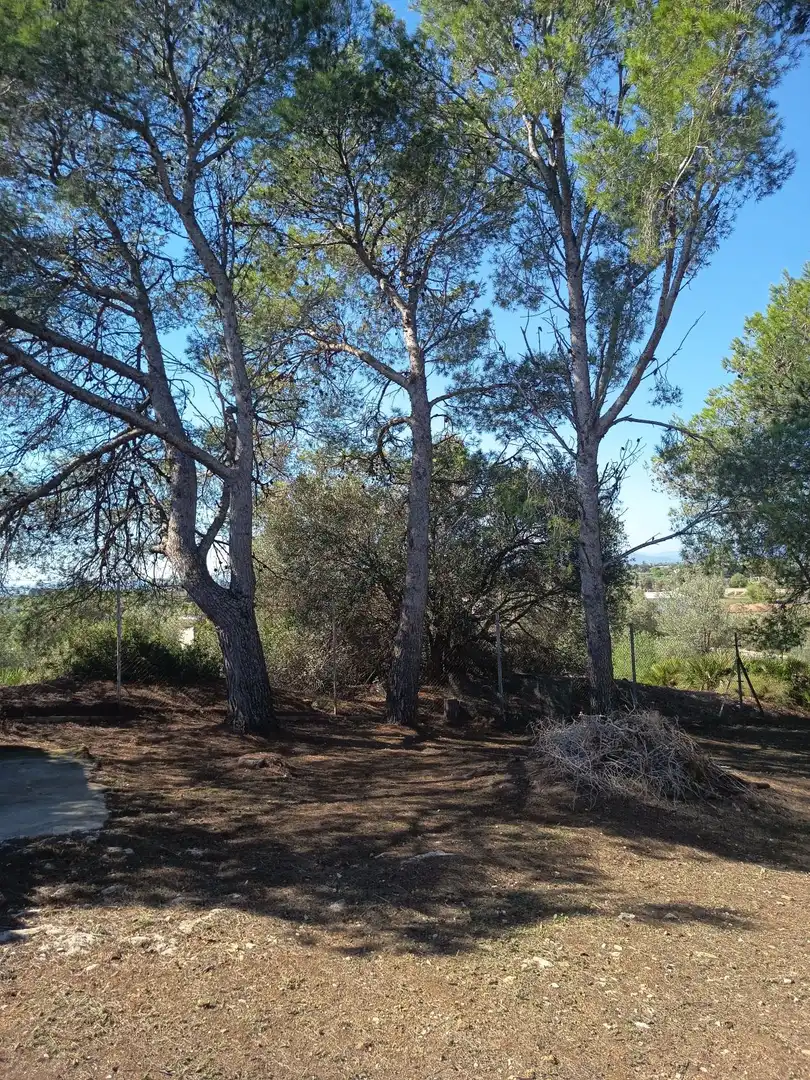 Villa avec terrasse à vendre à EL PUIG, imagen 103